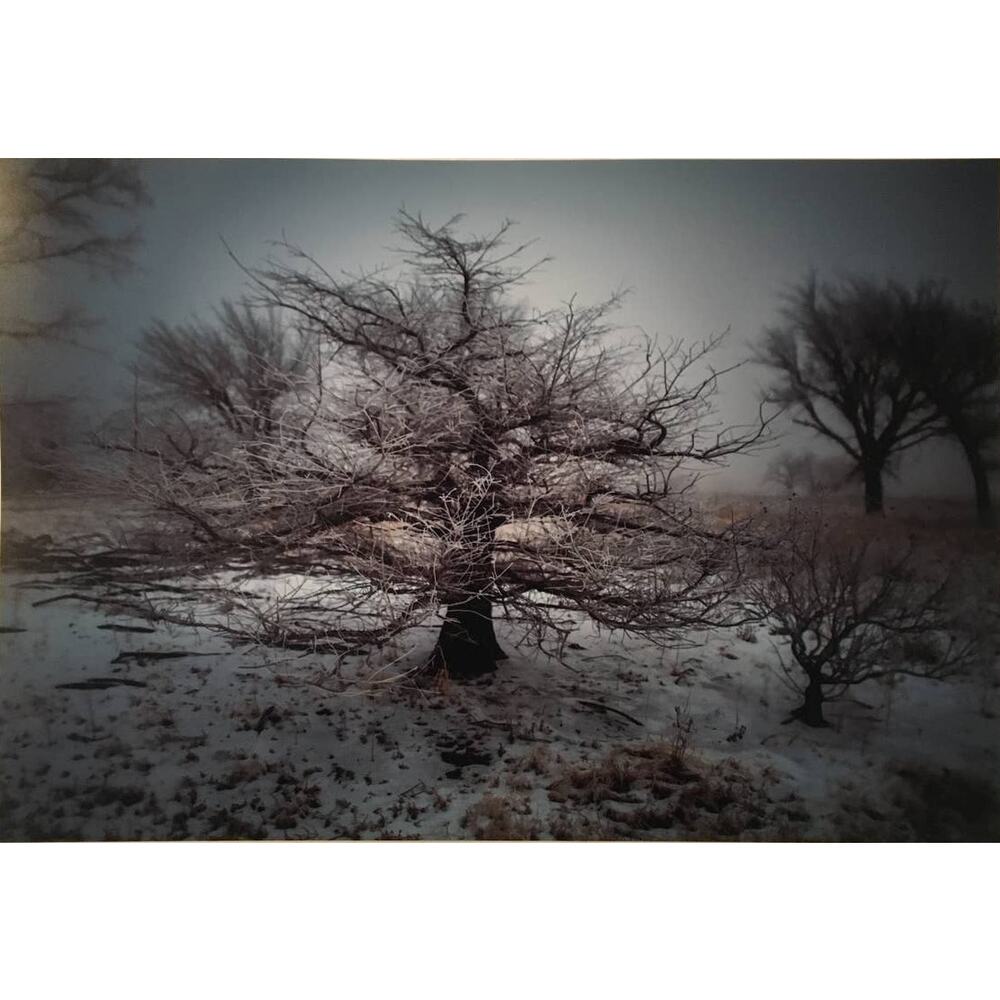 19 x 13 Photo Of Winter Ice Storm In Kansas